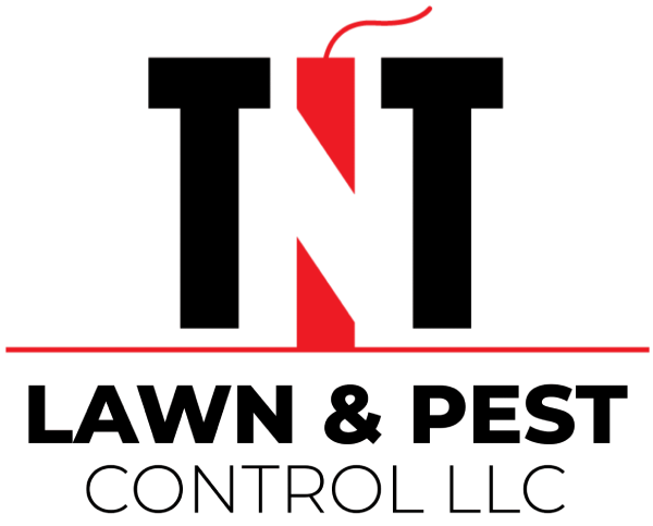 TNT